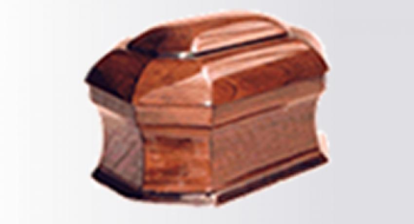 Model 109 NM 